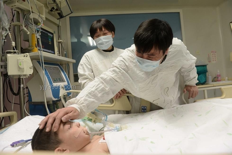 朱媛媛捐赠眼角膜及捐出所有遗产传闻的澄清与应对方案